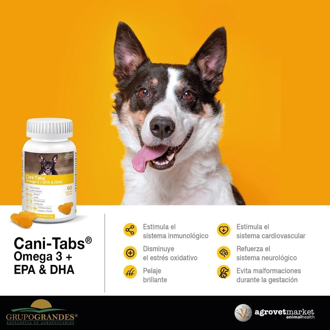 Cani-Tabs Omega 3 + EPA y DHA – Suplemento para Piel y Articulaciones en Perros - Monte Blanco Distribuciones Veterinarias