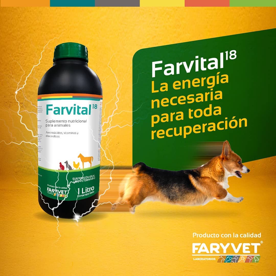 Farvital – Suplemento Vitamínico para Perros y Gatos | Vitaminas + Aminoácidos - Monte Blanco Distribuciones Veterinarias