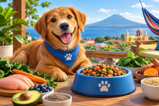 Tendencias nutrición canina para perros en Nicaragua