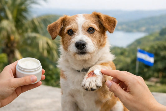 Crema cicatrizante para perros: alivio en Nicaragua