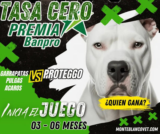 Antiparasitario Proteggo para perros con tasa cero bancaria en Nicaragua - Monte Blanco Veterinaria
