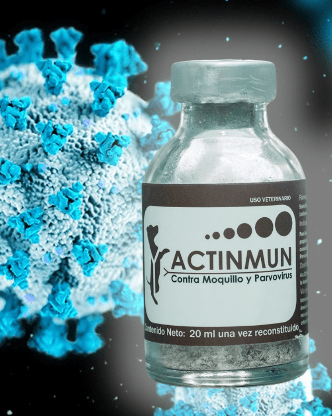 Actinmun SHP (Suero Hiperinmune Policlonal) - Monte Blanco Distribuciones Veterinarias 