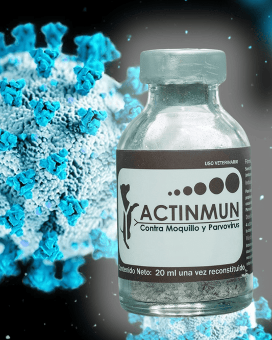 Actinmun SHP (Suero Hiperinmune Policlonal) - Monte Blanco Distribuciones Veterinarias  Monte Blanco Distribuciones Veterinarias