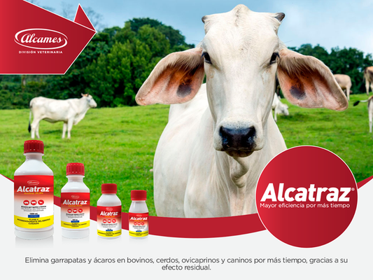 Alcatraz 20.8% – Amitraz Antiparasitario Externo para Perros y Bovinos - Monte Blanco Distribuciones Veterinarias  Monte Blanco Distribuciones Veterinarias