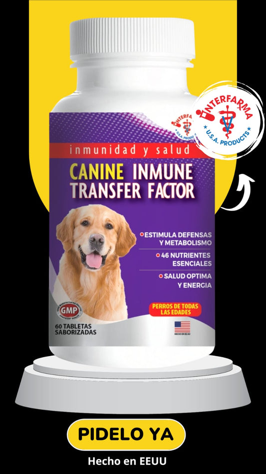 Canine InmunoTransfer Factor – Inmunomodulador para Perros - Monte Blanco Distribuciones Veterinarias  Monte Blanco Distribuciones Veterinarias