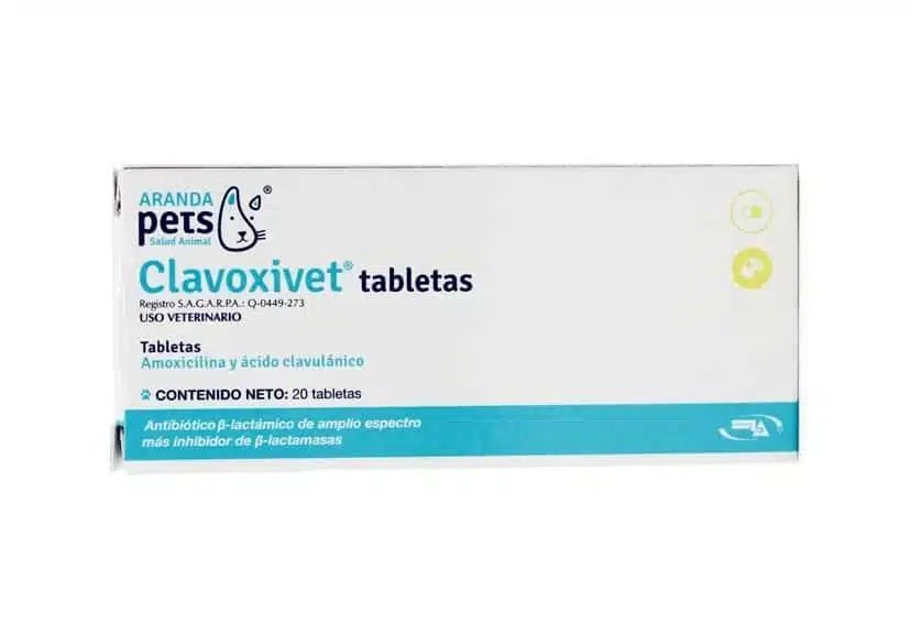 Clavoxivet – Antibiótico Oral Amoxicilina + Clavulánico para Perros y Gatos - Monte Blanco Distribuciones Veterinarias