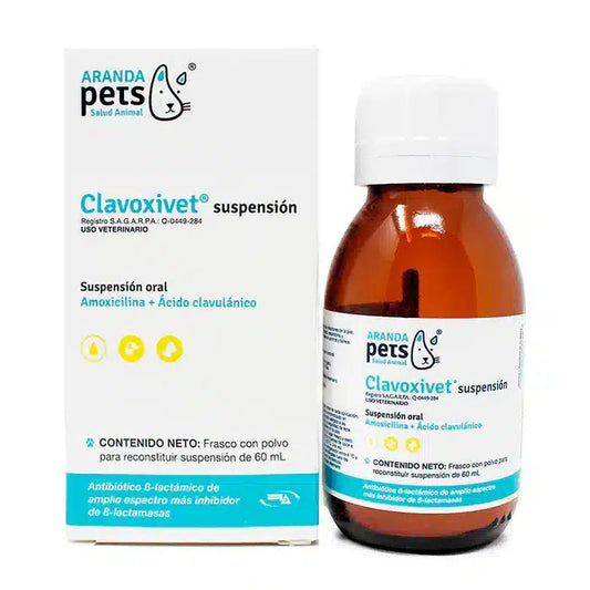 Clavoxivet Suspensión – Amoxicilina + Ácido Clavulánico para Perros y Gatos - Monte Blanco Distribuciones Veterinarias  Monte Blanco Distribuciones Veterinarias