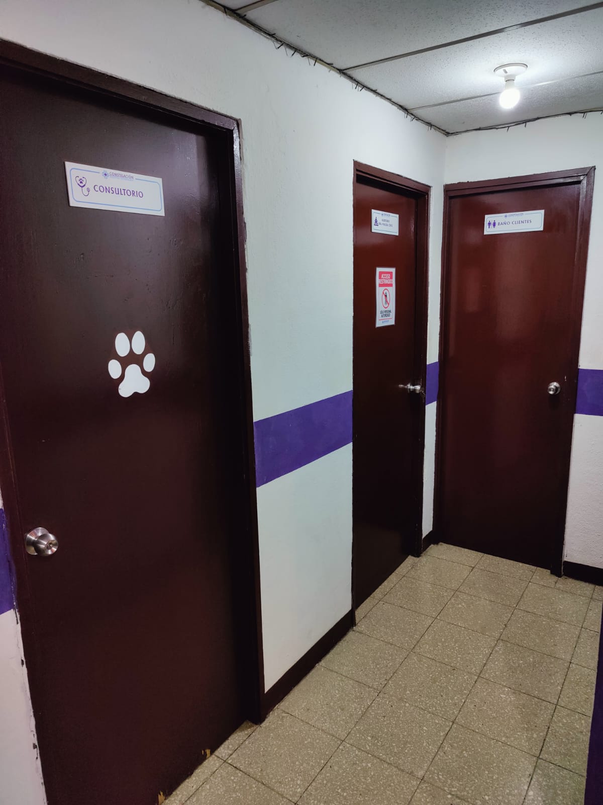 Consulta Médica Veterinaria – Constelación Hospital Veterinario Managua - Monte Blanco Distribuciones Veterinarias