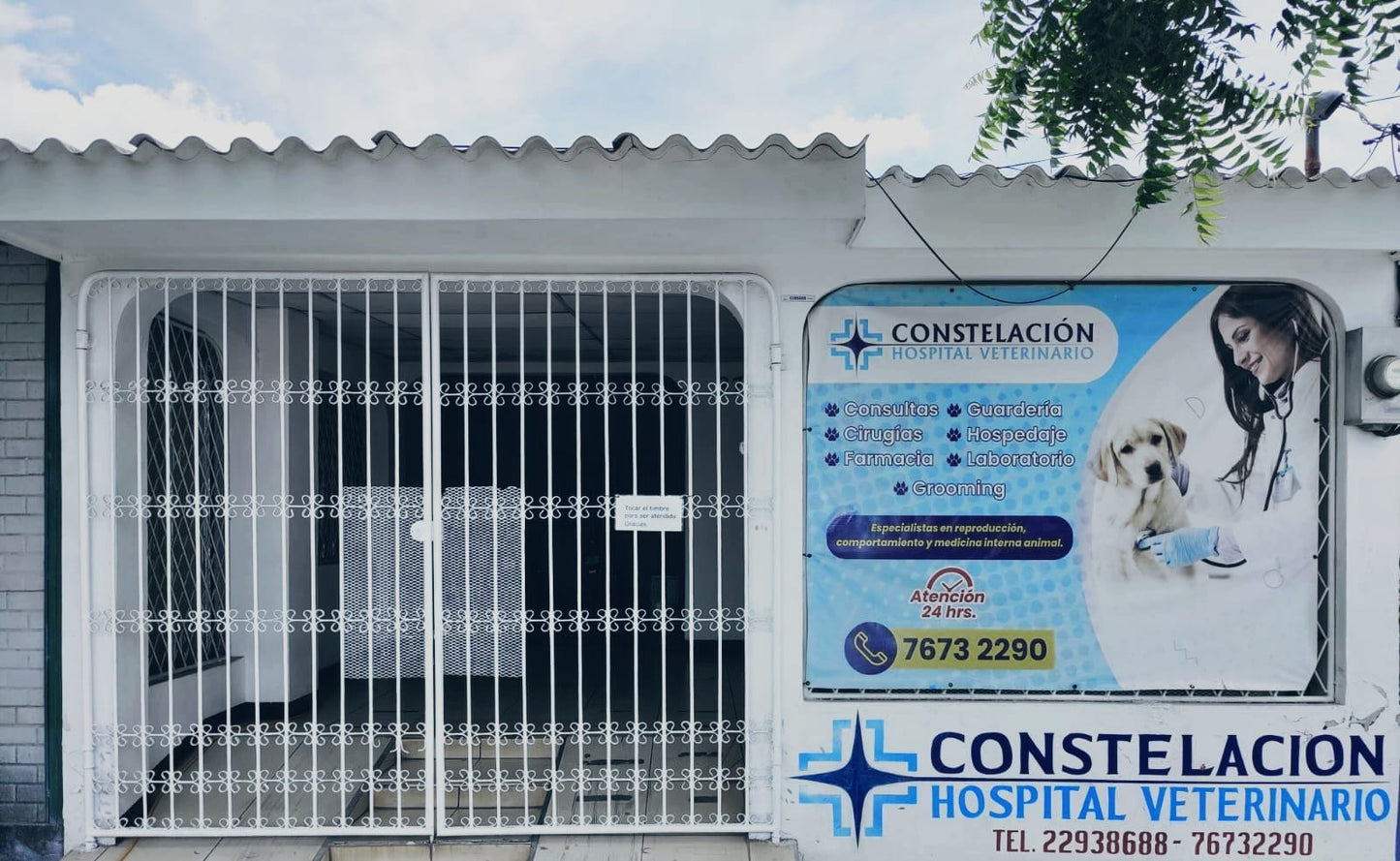 Consulta Médica Veterinaria – Constelación Hospital Veterinario Managua - Monte Blanco Distribuciones Veterinarias