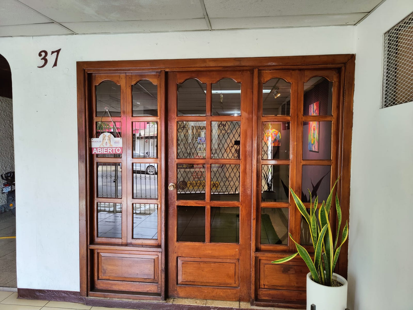 Consulta Médica Veterinaria – Constelación Hospital Veterinario Managua - Monte Blanco Distribuciones Veterinarias