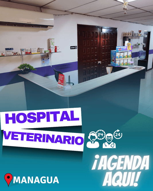Consulta Médica Veterinaria – Constelación Hospital Veterinario Managua - Monte Blanco Distribuciones Veterinarias  Monte Blanco Distribuciones Veterinarias