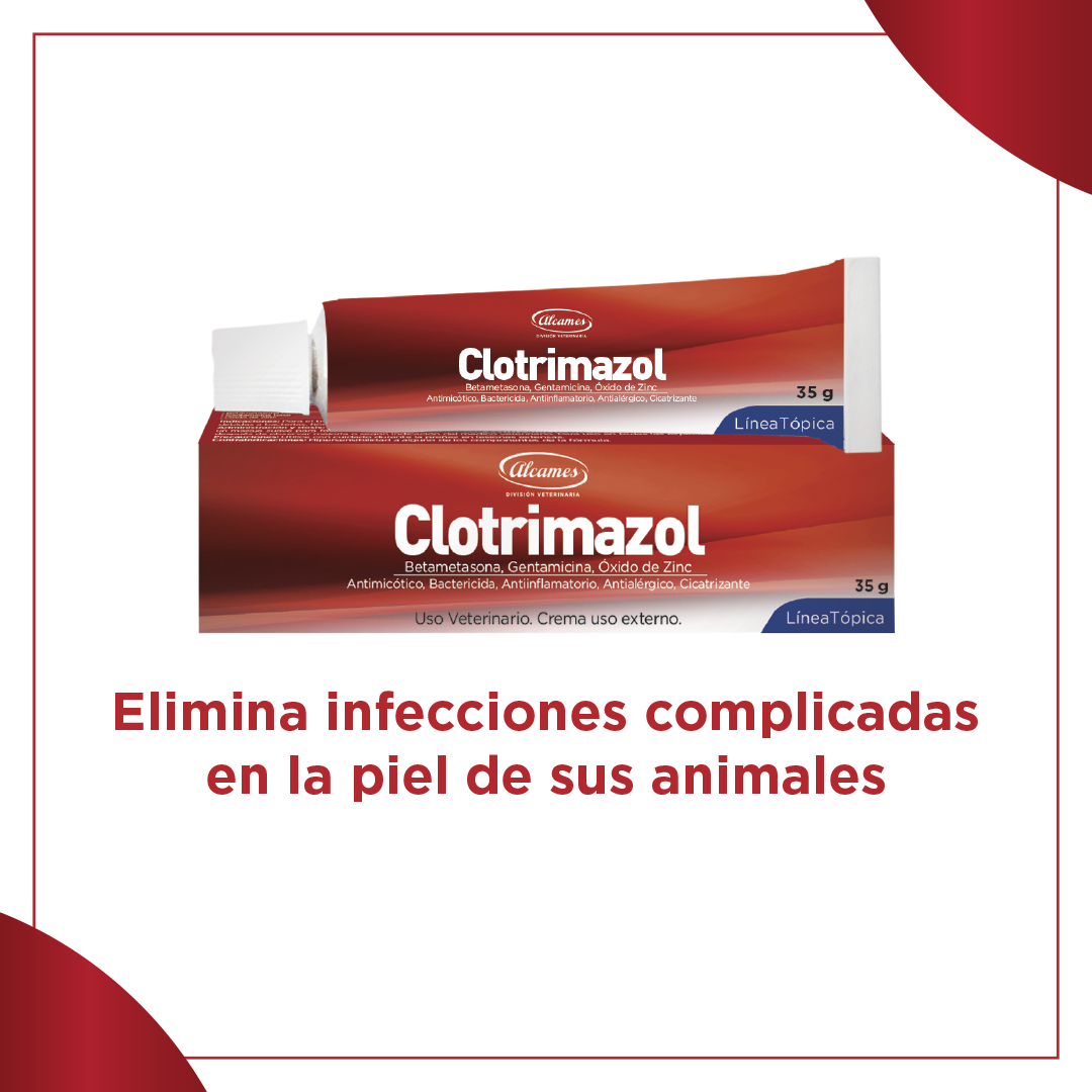Crema Clotrimazol - Monte Blanco Distribuciones Veterinarias 