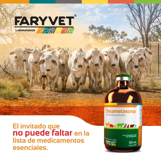 Dexametasona 2% — Corticoesteroide Antiinflamatorio Inyectable para Perros, Gatos y Bovinos - Monte Blanco Distribuciones Veterinarias Monte Blanco Distribuciones Veterinarias
