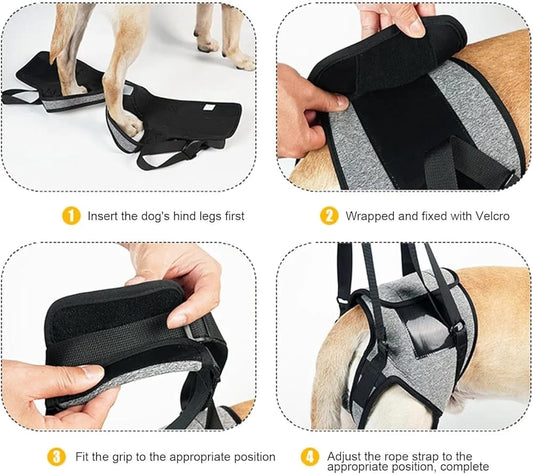 Monte Blanco Distribuciones Veterinarias