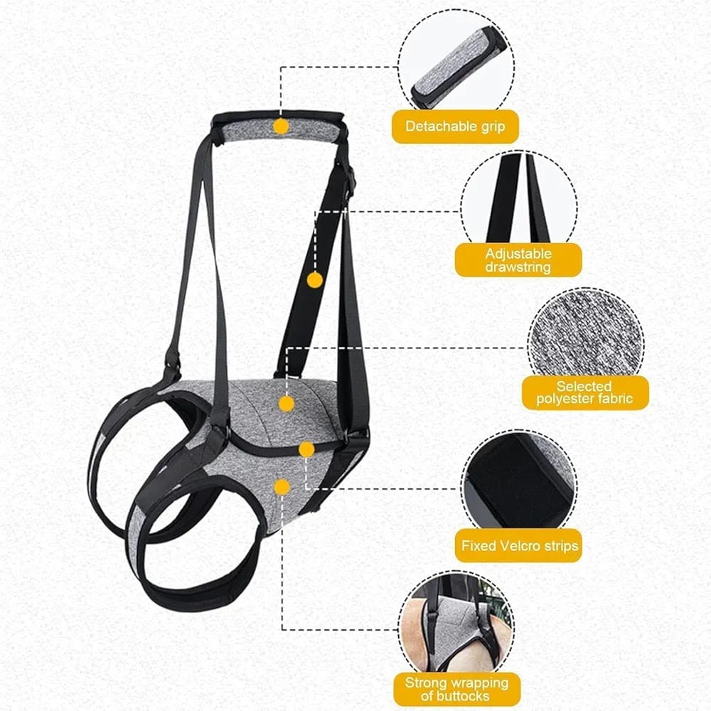 Elevador Trasero para Perros – Fisioterapia y Rehabilitación del Tren Posterior - Monte Blanco Distribuciones Veterinarias
