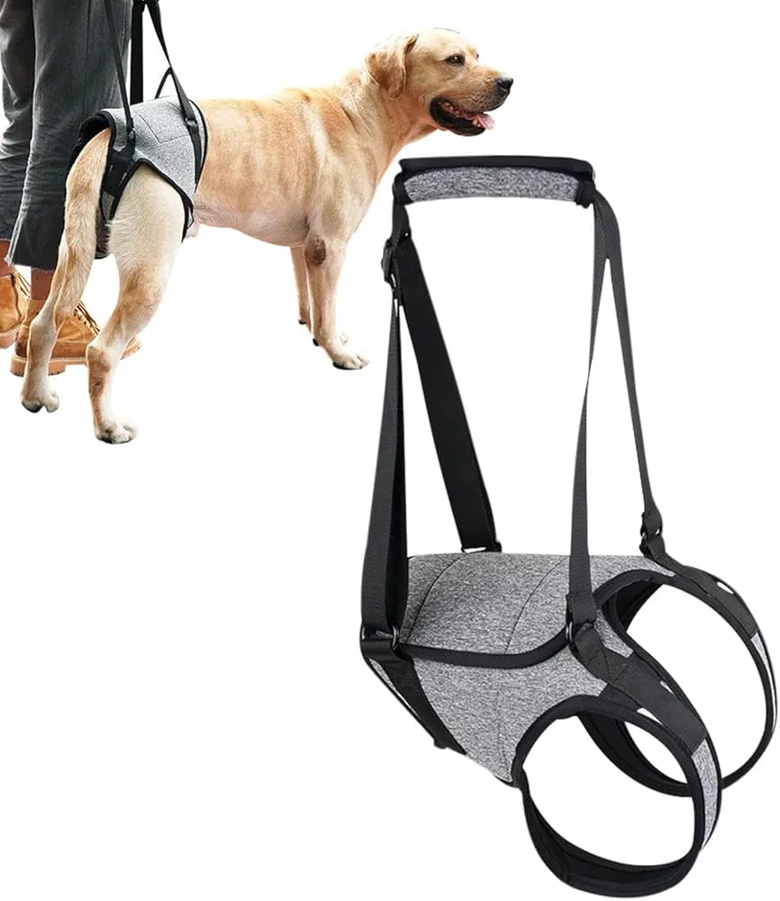 Elevador Trasero para Perros – Fisioterapia y Rehabilitación del Tren Posterior - Monte Blanco Distribuciones Veterinarias