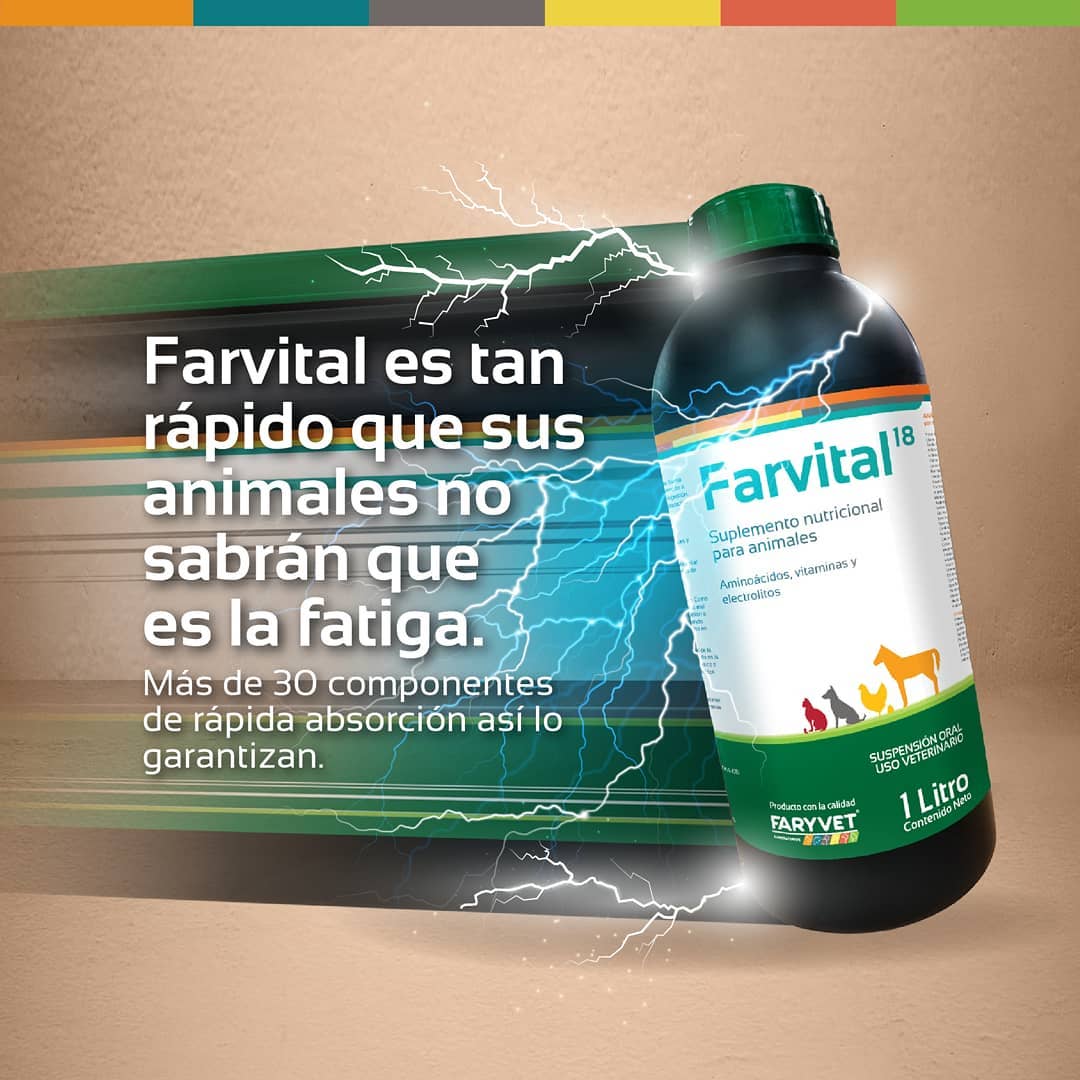 Farvital – Suplemento Vitamínico para Perros y Gatos | Vitaminas + Aminoácidos - Monte Blanco Distribuciones Veterinarias 
