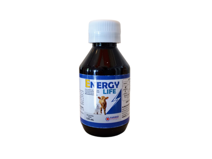 Energy Life – Suplemento Reconstituyente Oral para Perros | Calcio, Magnesio y Fosforilcolamina
