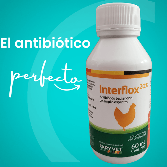 Interflox 20% – Enrofloxacina Antibiótico para Aves y Animales de Producción - Monte Blanco Distribuciones Veterinarias  Monte Blanco Distribuciones Veterinarias