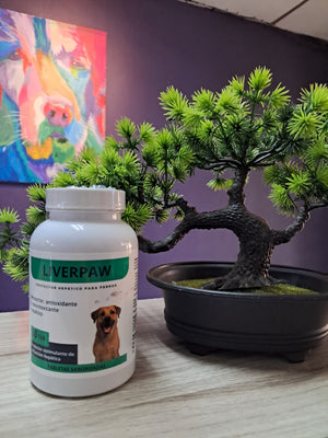 Liverpaw tabletas Protector hepático para perros