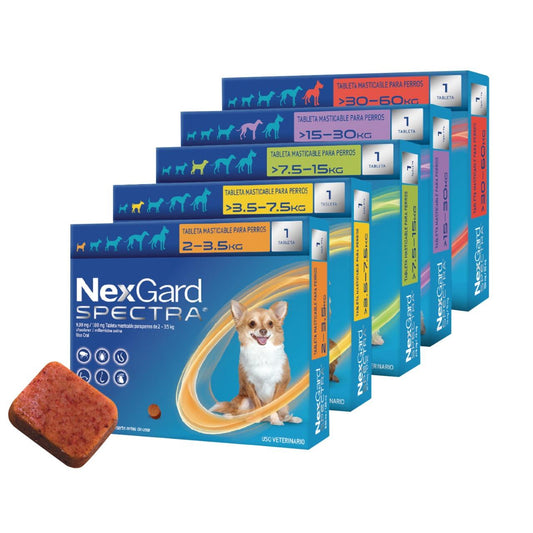 NexGard Spectra – Antiparasitario Completo para Perros - Monte Blanco Distribuciones Veterinarias  Monte Blanco Distribuciones Veterinarias