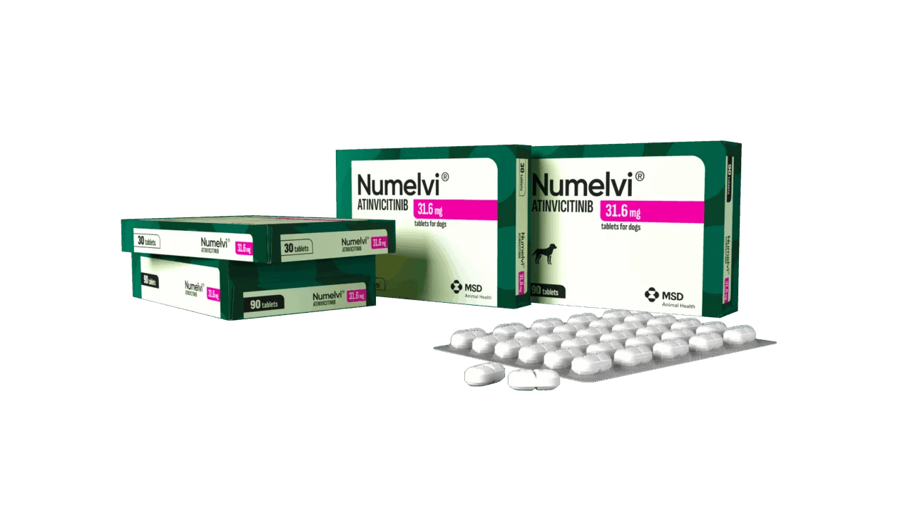 Numelvi – Antipruriginoso en Tabletas para Dermatitis Alérgica en Perros - Monte Blanco Distribuciones Veterinarias