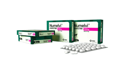 Numelvi – Antipruriginoso en Tabletas para Dermatitis Alérgica en Perros - Monte Blanco Distribuciones Veterinarias