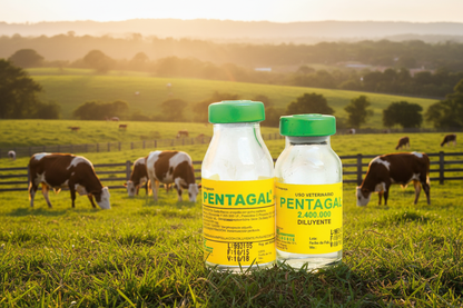 PENTAGAL 2,400,000 Antibiótico Inyectable – Penicilina de Amplio Espectro para Ganado y Animales - Monte Blanco Distribuciones Veterinarias