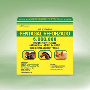 Pentagal Reforzado 6 Millones – Antibiótico Inyectable para Bovinos y Equinos