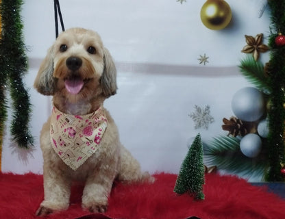 Servicio de Grooming y Spa para Mascotas – Constelación Hospital Veterinario Managua - Monte Blanco Distribuciones Veterinarias