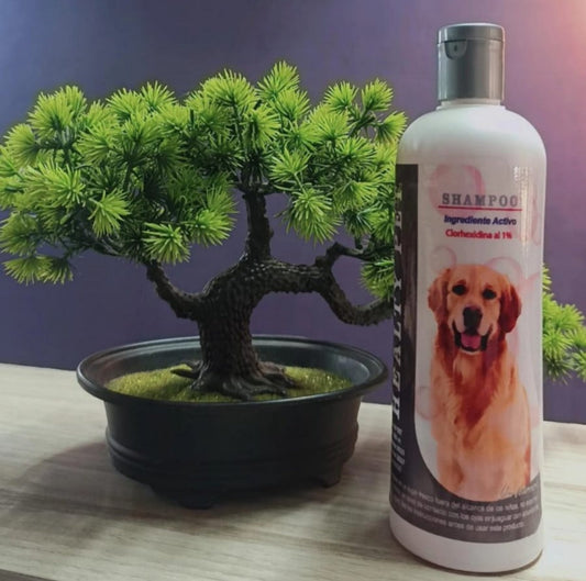 Shampoo Clorhexidina 1% – Medicado para Infecciones de Piel en Perros y Gatos - Monte Blanco Distribuciones Veterinarias  Monte Blanco Distribuciones Veterinarias