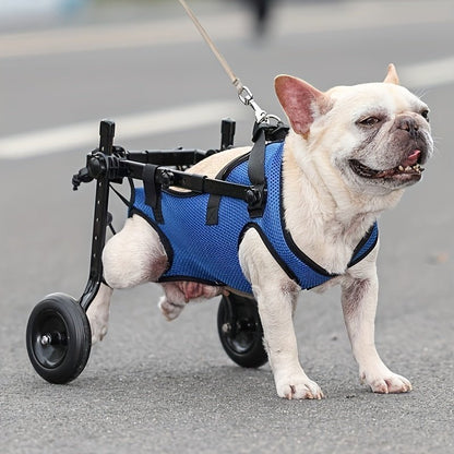 Silla de Ruedas - Monte Blanco Distribuciones Veterinarias