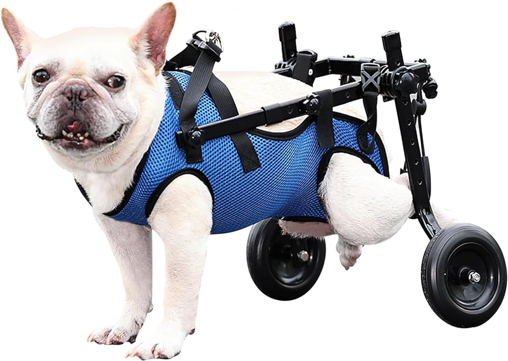 Silla de Ruedas - Monte Blanco Distribuciones Veterinarias