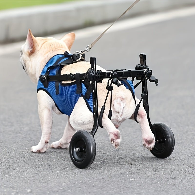 Silla de Ruedas - Monte Blanco Distribuciones Veterinarias