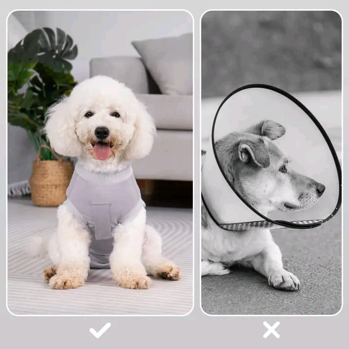 Traje Post Quirúrgico Q3 para Perros – Alternativa al Collar Isabelino - Monte Blanco Distribuciones Veterinarias