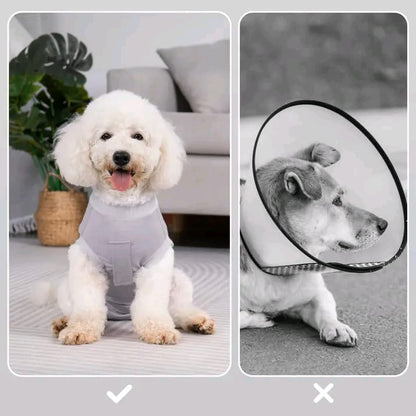 Traje Post Quirúrgico Q3 para Perros – Alternativa al Collar Isabelino - Monte Blanco Distribuciones Veterinarias