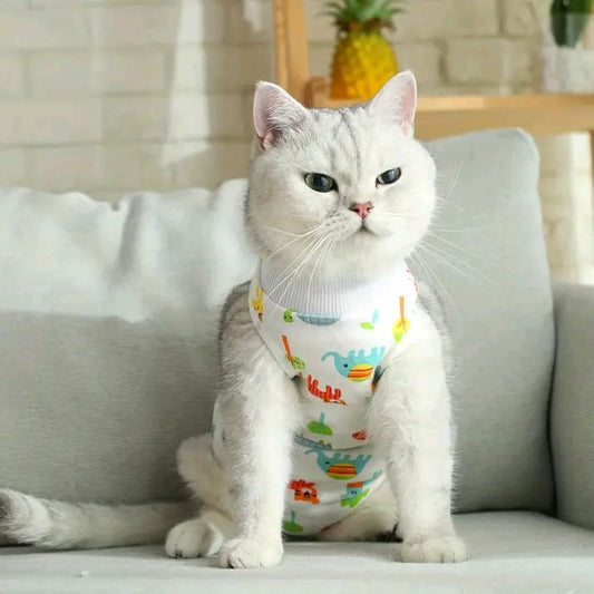 Traje Post Quirúrgico para Perros y Gatos – Recuperación Sin Collar Isabelino - Monte Blanco Distribuciones Veterinarias  Monte Blanco Distribuciones Veterinarias