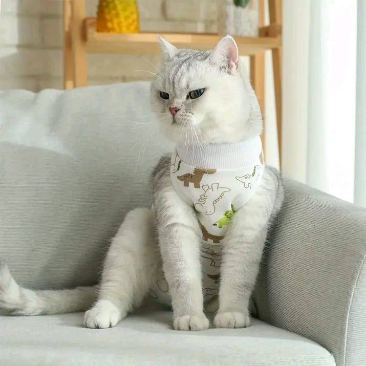Traje Post Quirúrgico para Perros y Gatos – Recuperación Sin Collar Isabelino - Monte Blanco Distribuciones Veterinarias