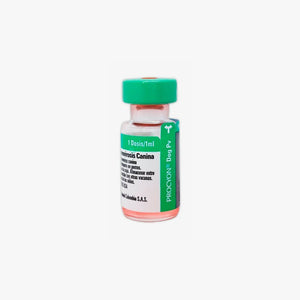 Vacuna Parvovirus Canino – Protección contra Parvo en Perros (Nobivac Parvo C)