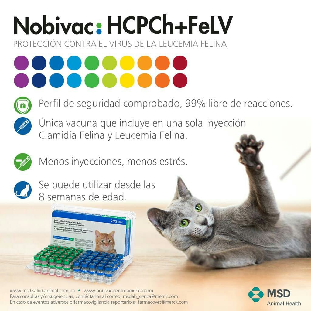 Vacuna Quíntuple Felina MSD – Protección 5 en 1 para Gatos (Nobivac) - Monte Blanco Distribuciones Veterinarias 