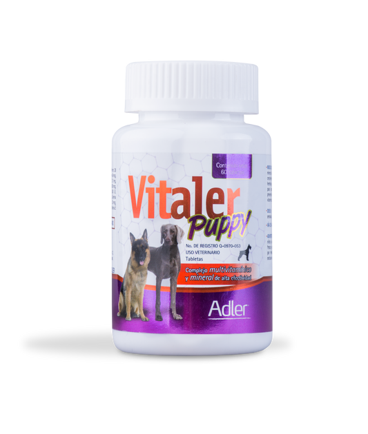 Vitaler Puppy