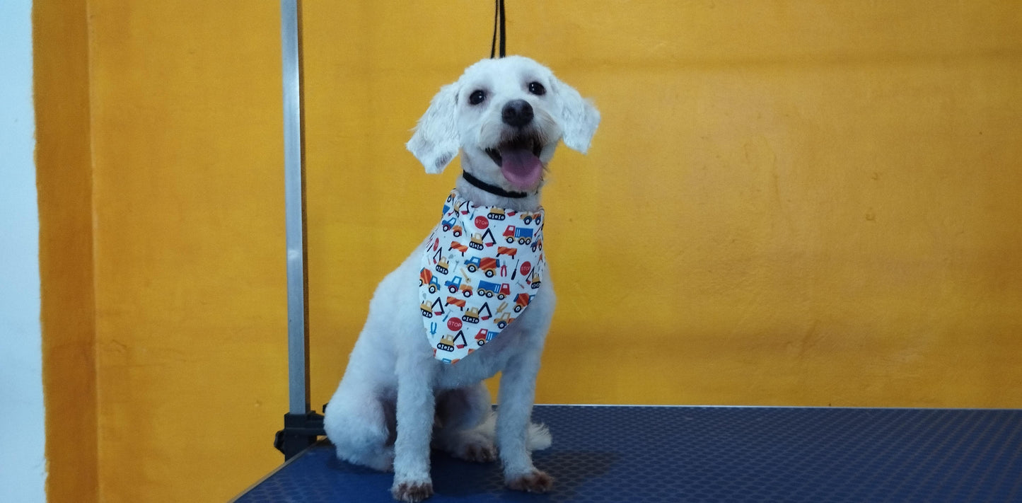 Servicio de Grooming y Spa/Constelación Hospital Veterinario