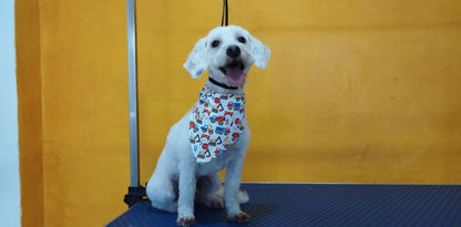 Servicio de Grooming y Spa/Constelación Hospital Veterinario