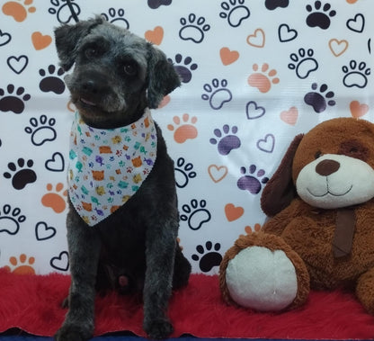 Servicio de Grooming y Spa/Constelación Hospital Veterinario