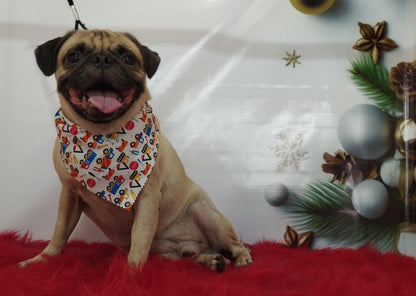 Servicio de Grooming y Spa/Constelación Hospital Veterinario