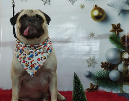 Servicio de Grooming y Spa/Constelación Hospital Veterinario