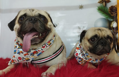 Servicio de Grooming y Spa/Constelación Hospital Veterinario
