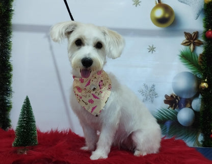 Servicio de Grooming y Spa/Constelación Hospital Veterinario