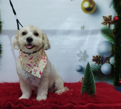 Servicio de Grooming y Spa/Constelación Hospital Veterinario