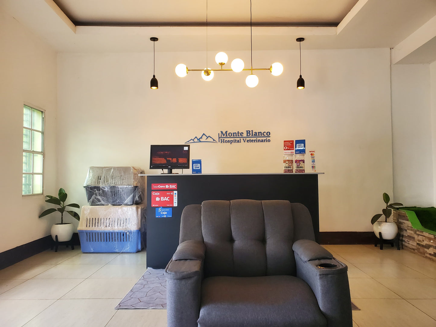 Consulta Médica Monte Blanco Hospital Veterinario/Ciudad sandino